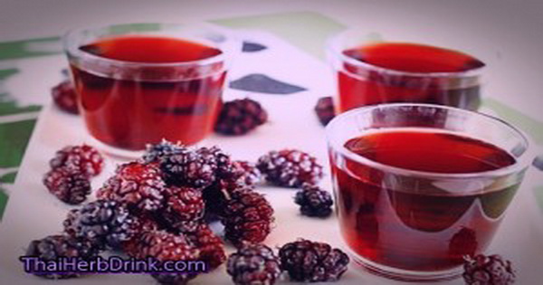 น้ำลูกหม่อน (Mulberry Herbal Drink) น้ำผักผลไม้เพื่อสุขภาพ ทำเองได้ง่ายๆ สไตล์ชิลๆ